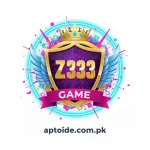 z333 game