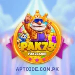 pak75 game