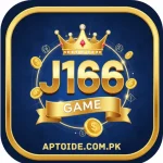 j166 game