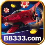 bb333
